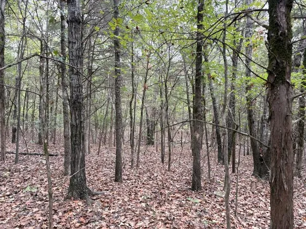 Off Of Lawrence #106, Ravenden, AR 72459
