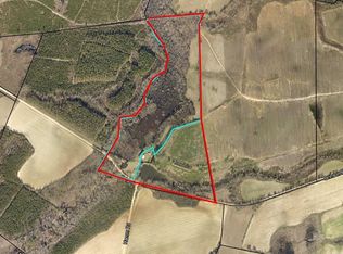 668 Brinson Pond Rd, Waynesboro, GA 30830