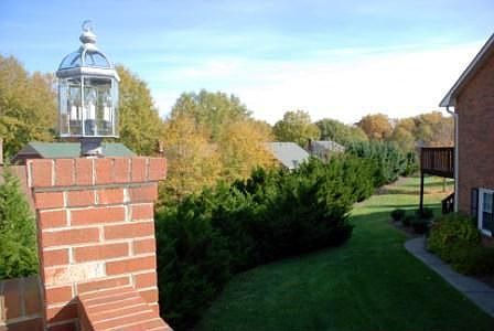 View from Patio