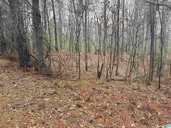 2nd image of 6901 Sellers Rd #0