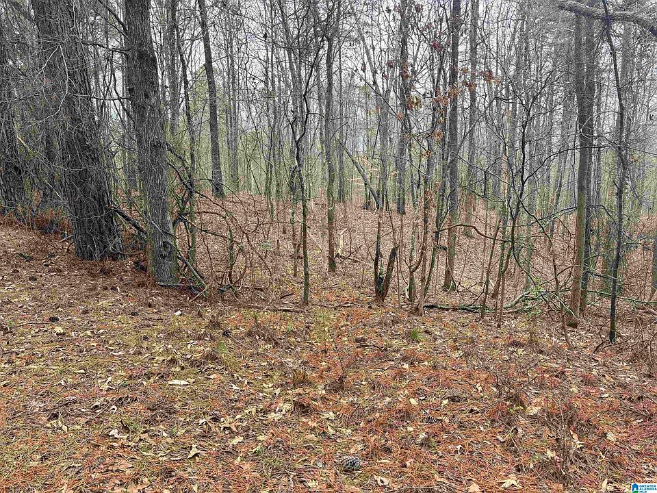 2nd image of 6901 Sellers Rd #0