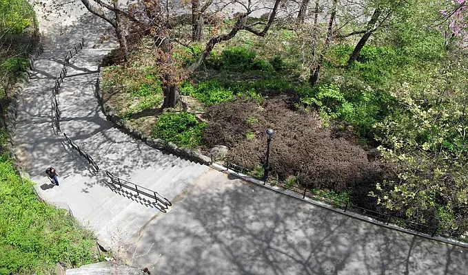 Rented by EastMount Realty LLC | media 17