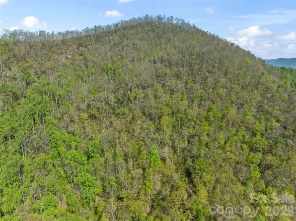 21 Reillys Bluff Rd #1, Barnardsville, NC 28709