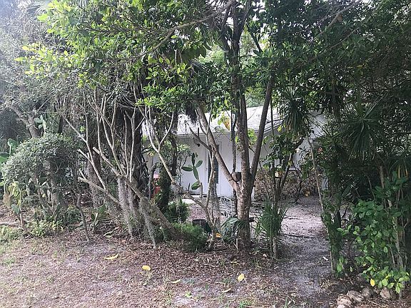 2nd image of 1494 Poinciana Ave