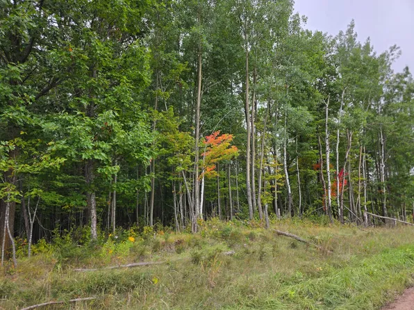 TRACT S Pioneer Rd #C, Barnum, MN 55707