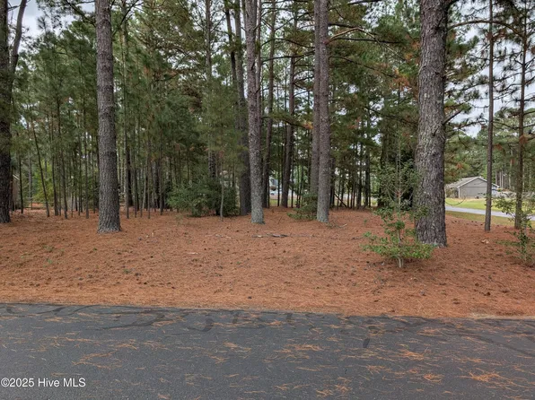 129 Laurel Oak Lane, Pinebluff, NC 28373