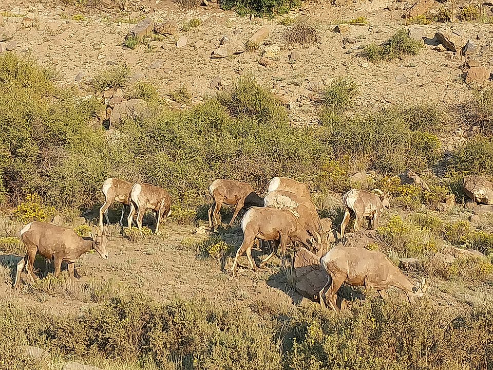 1st image of 1167 Latigo Loop