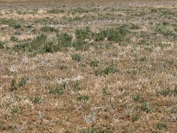 136 N 4139 E, Rigby, ID 83442