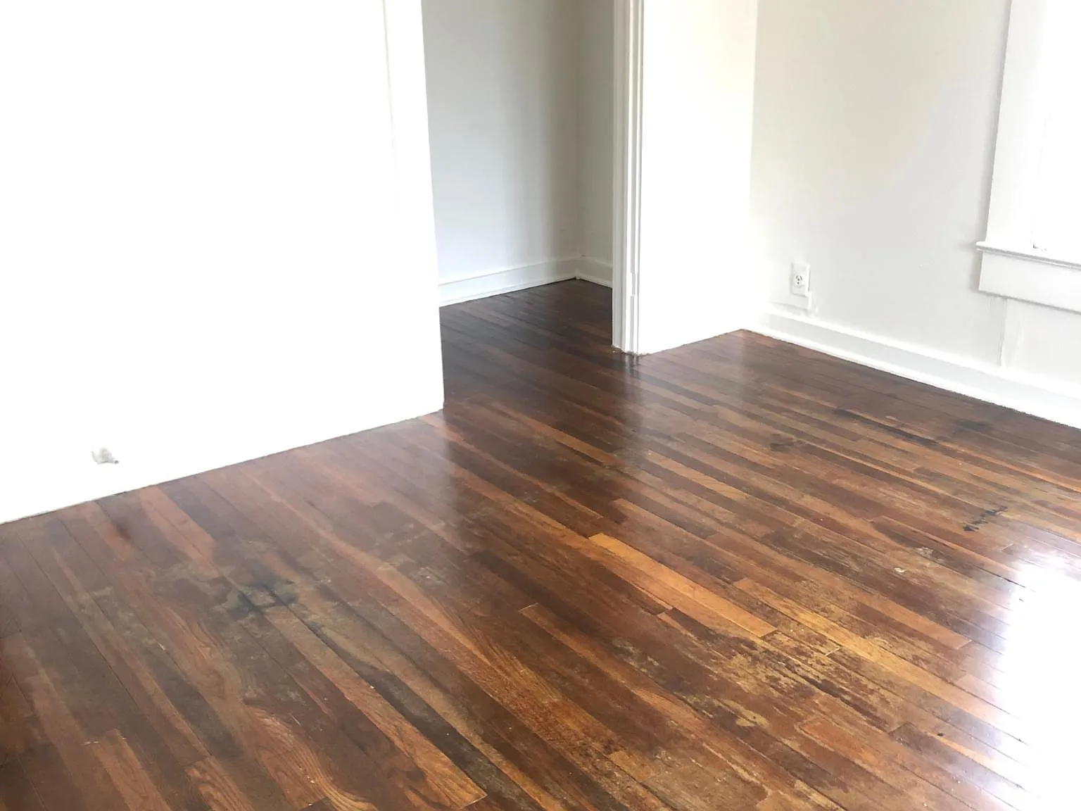 1 bed, 700 sqft, $1,325 — Photo 3