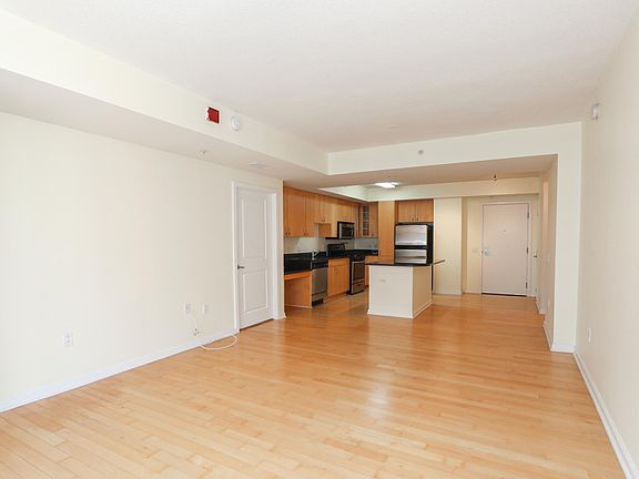 Living room/Kitchen