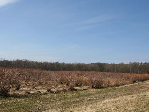 2nd image of V/l Co Rd #380