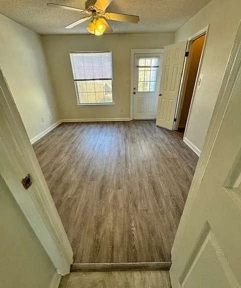 2820 Saw Palmetto Ln — Photo 5