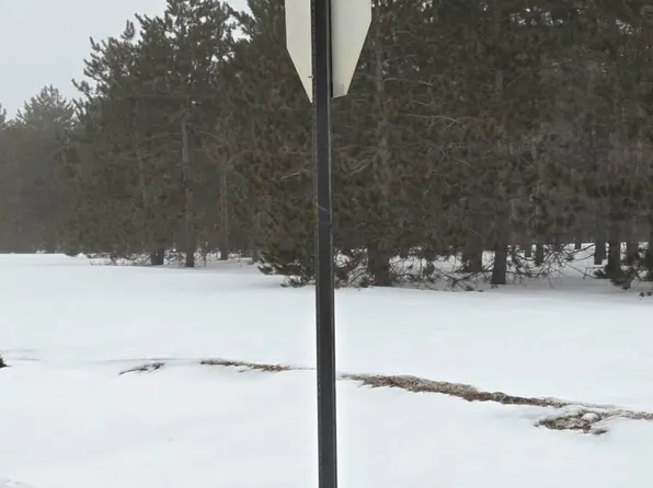 Par A B Tucker Rd, Elmira, MI 49730