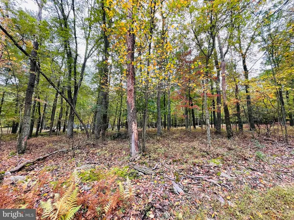 254 Chamonix Ln, Zion Grove, PA 17985