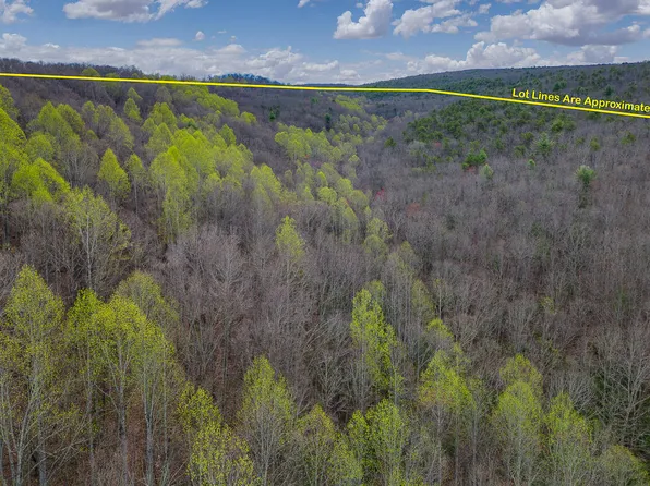 Pig Run Rd, Millboro, VA 24460