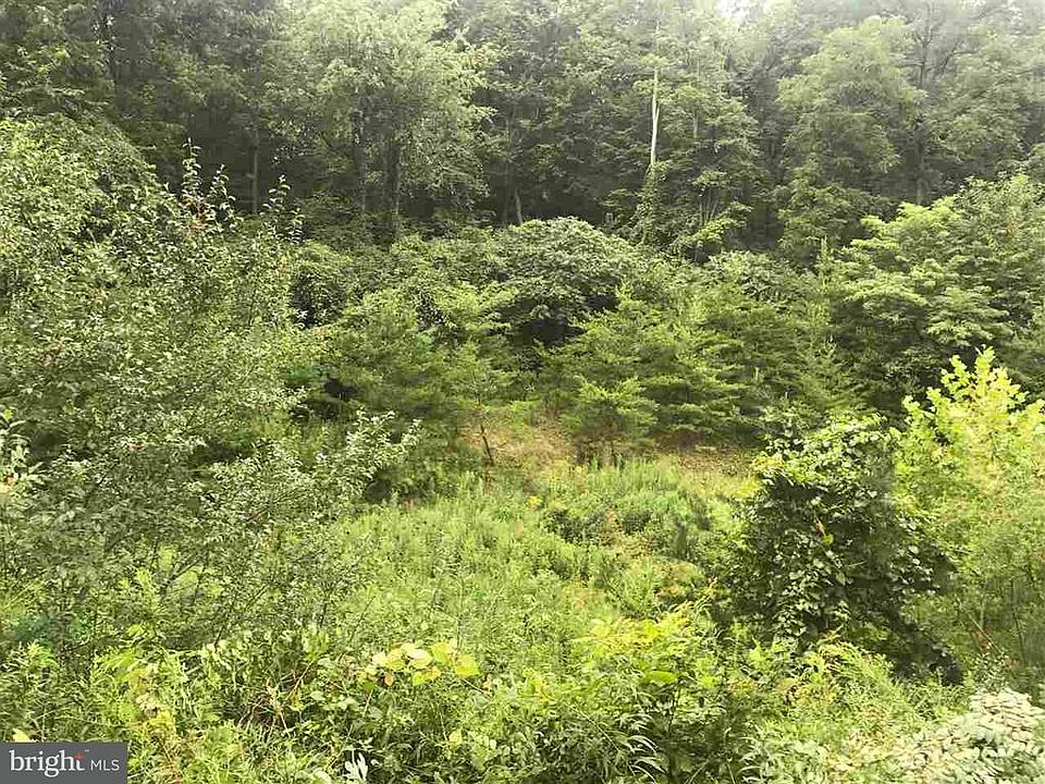 203 Burn Hill Rd, Shermans Dale, PA 17090 Zillow