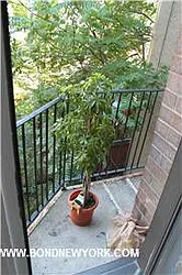 Rented by Bond New York