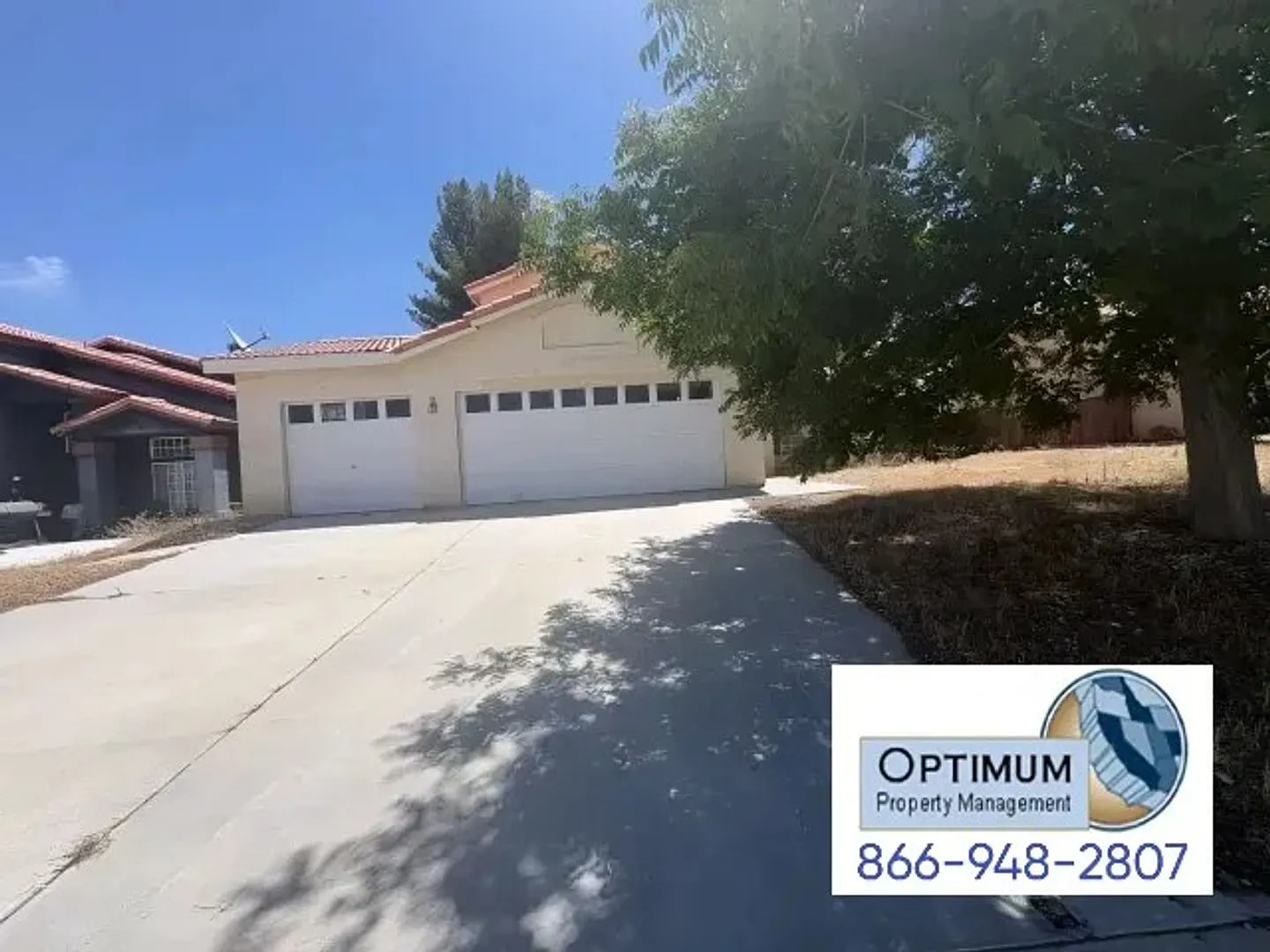 Spacious 4-Bedroom Home with Downstairs Bedroom & Brand-New Carpet — Photo 3