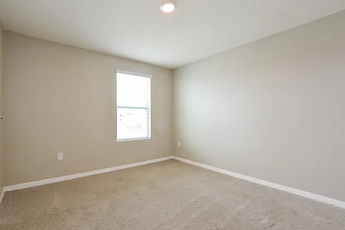 5133 Foxtail Fern Way — Photo 12