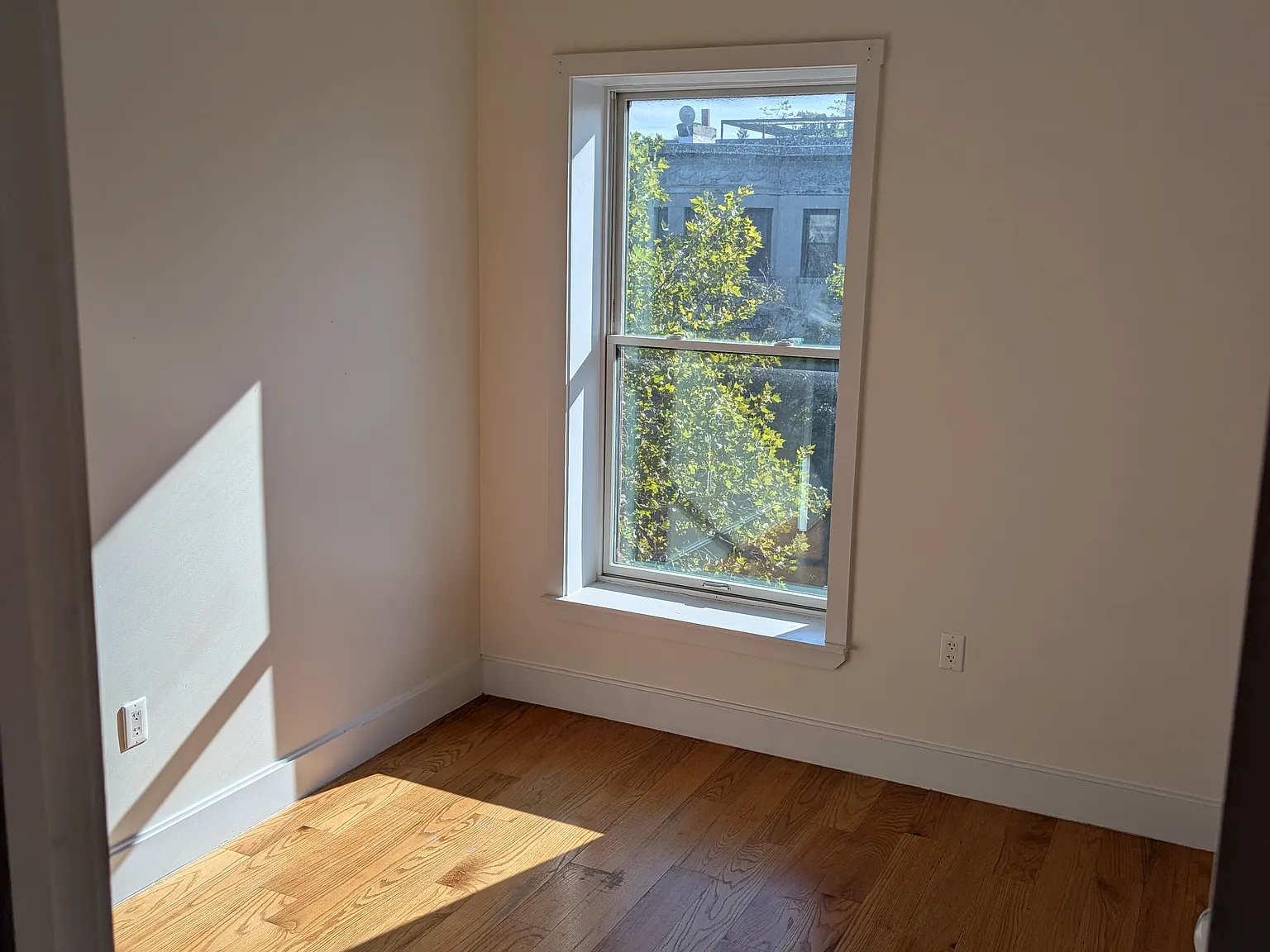 245 Stuyvesant Avenue — Photo 3