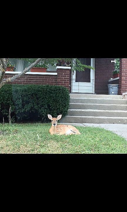 Friendly neighbors! 