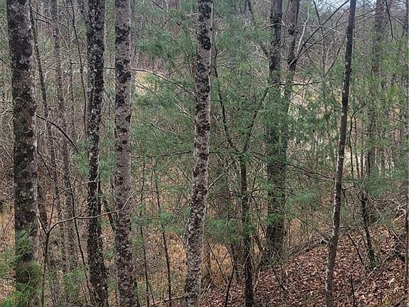 4th image of 0 Browntown Rd Lot 5