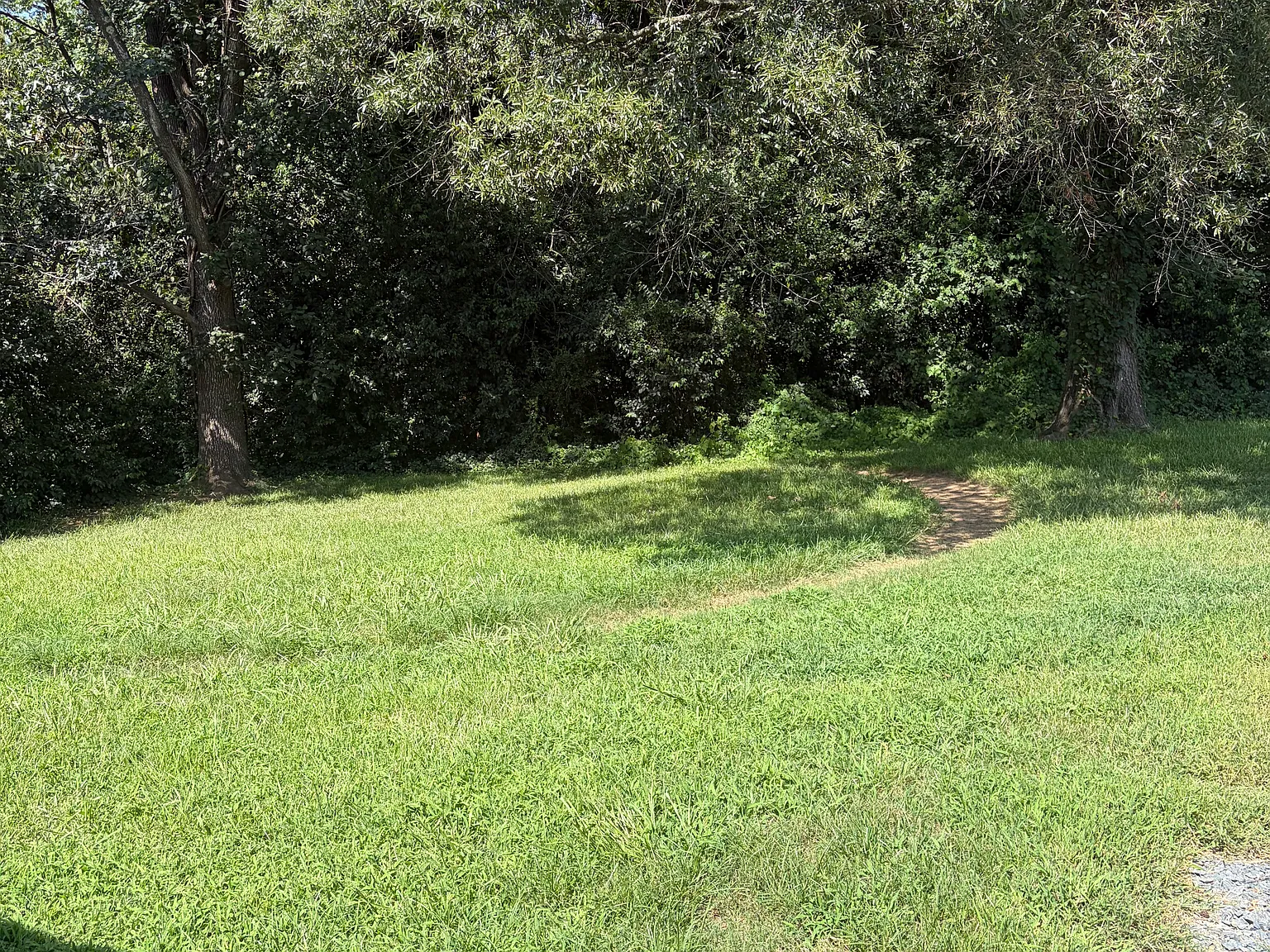 3 bed, 1174 sqft, $1,950 — Photo 3