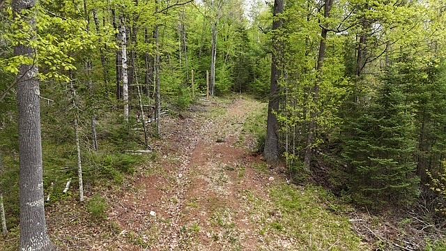 2nd image of 3936W North Clover Road