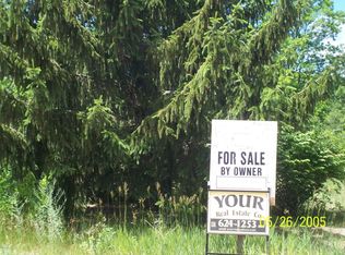 49438 Lillian St, Paw Paw, MI 49079
