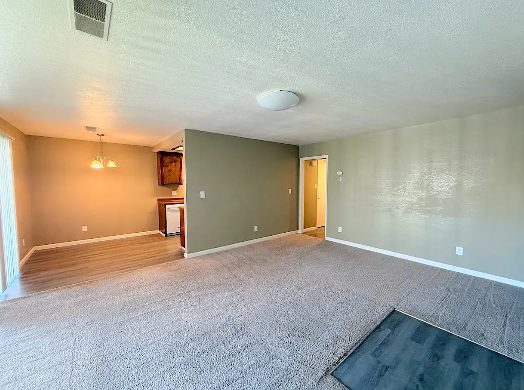 2 bed, 1000 sqft, $1,450 — Photo 3