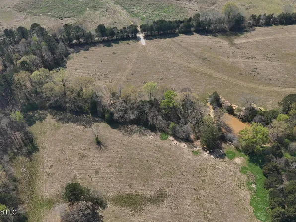 Potluck Rd Lot 1, Canton, MS 39046