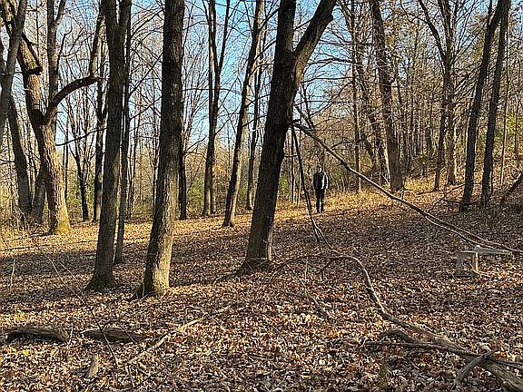 3rd image of 34945 Wild Mountain Rd