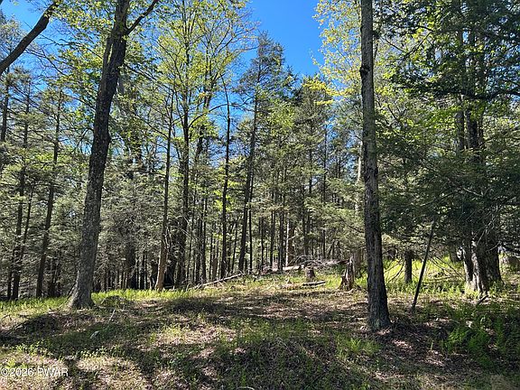 3rd image of LOT 15 Game Trail Dr