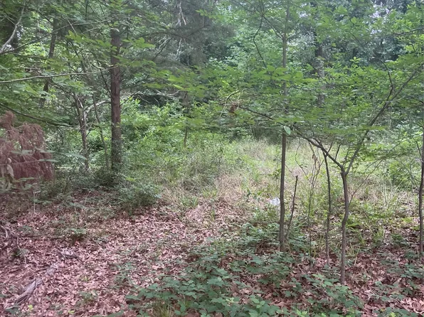 106 Red Bluff Loop, Mabank, TX 75156