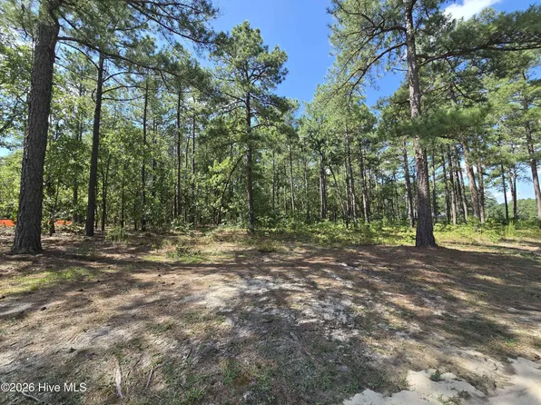 Tbd Peach Orchard Road, Wagram, NC 28396