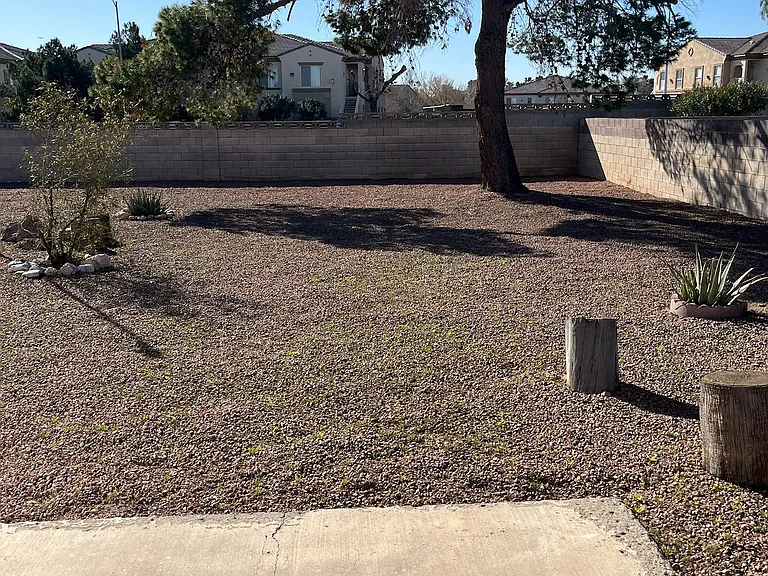 Low maintenance yard