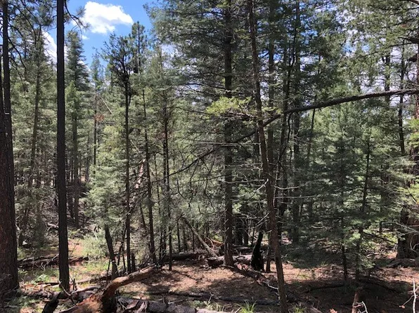 Sawyer Mesa Rd, Los Ojos, NM 87551