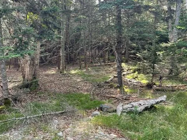 Lot 4 Sophie's Way Way, Tremont, ME 04653
