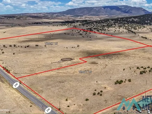 0 N 246th, Capitan, NM 88316