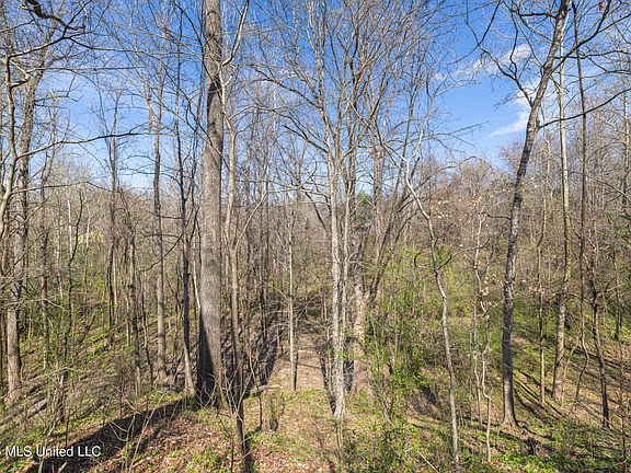 3rd image of 0 Reed Wilson Rd