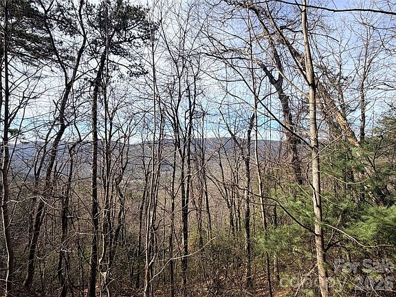 3rd image of Maple Valley Ln #207 & 220