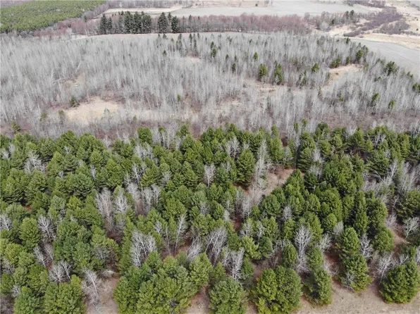 20.08 Acres County Highway B, Fairchild, WI 54741