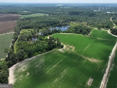 0 Bud Clifton Rd, Lyons, GA, 30436