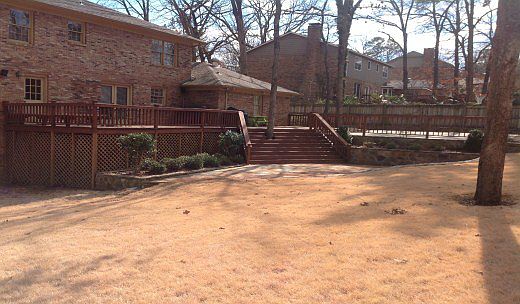 back yard