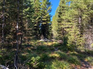 Nhn Mill Creek Rd, Frenchtown, MT 59834