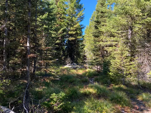 Nhn Mill Creek Rd, Frenchtown, MT 59834
