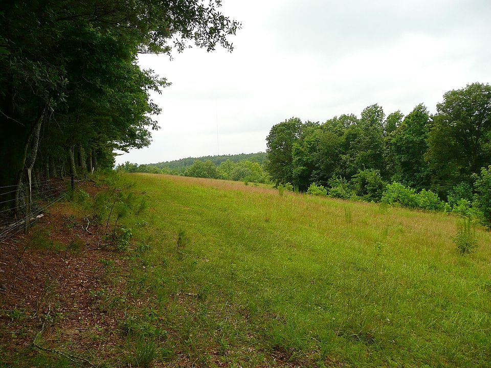 Rolling upper pasture 