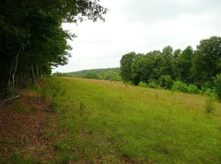 165 Alice Holleman Ln, Fuquay Varina, NC 27526