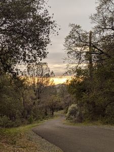(Undisclosed Address), Rackerby, CA, 95972