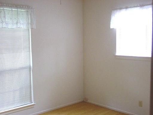 5th image of 2026 SHADOW CLIFF